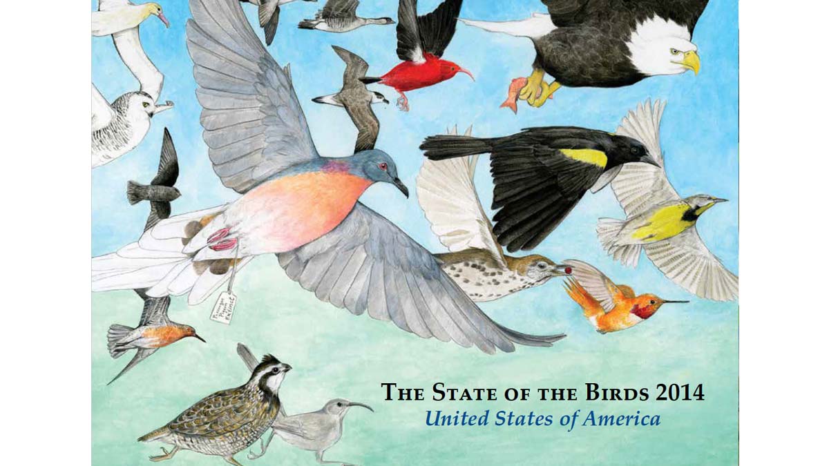 cover of the 2014 state of the birds report